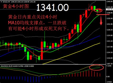 分析师金晓峰：116黄金操作建议，重点关注1338支撑中金在线财经号