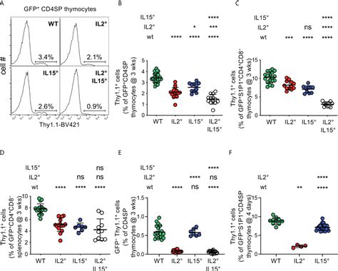 Frontiers Il And Il Drive Intrathymic Development Of Distinct