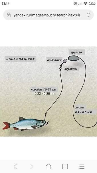 Донка на щуку, разновидности снасти, способы изготовления и тактика ловли