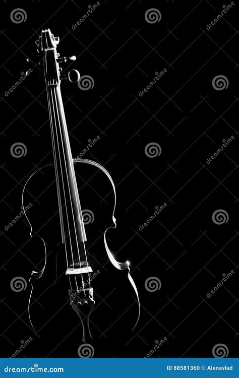 Violin Silhouette Strings Isolated Stock Photo Image Of Viola Play