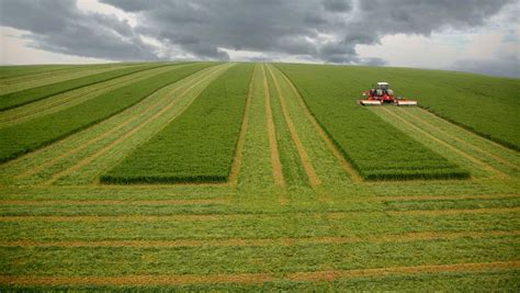 Kuhn “la Agricultura Será Tecnológica O No Será” Agricultura