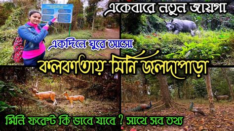 ঘুরে আসো কলকাতার মিনি ফরেস্ট জলদাপাড়া থেকে Kolkata Jaldapara