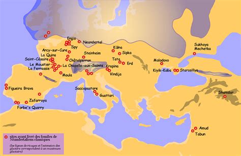 35 Homo neanderthalensis La storia della nostra tribù Hominini