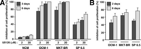 Effects Of MEK1 2 Inhibition On Melanoma Cell Proliferation A NCM And