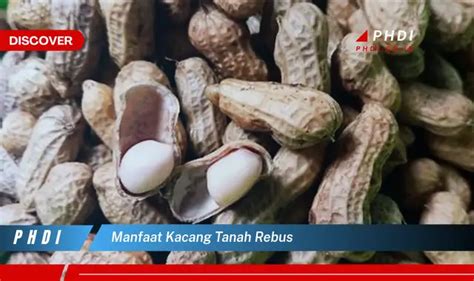 Ketahui Manfaat Kacang Tanah Rebus Yang Jarang Diketahui