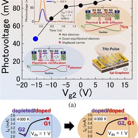 The Ambipolar Property Of The Adgg Eg Fet And The Gate Voltagedependent