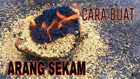 Membuat Arang Sekam Bakar Dengan Mudah YouTube