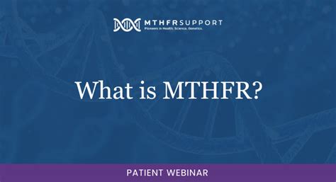 What Is Mthfr Free Patient Webinar Mthfr Support Australia