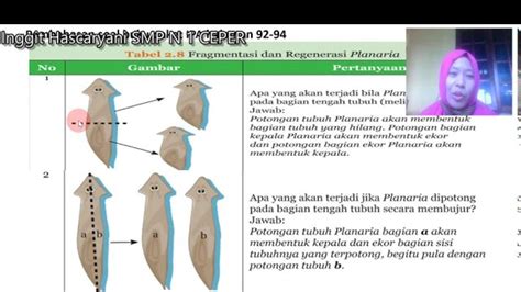 Apa Itu Fragmentasi Dan Regenerasi Planaria Kunci Jawaban Pelajaran