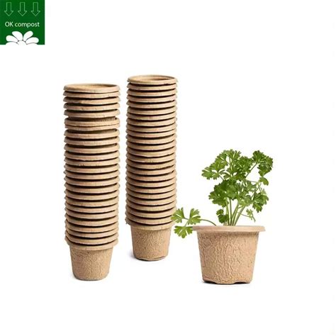eco friendly pulp biodegradable  plants customizing service