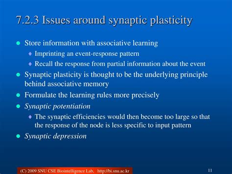 PPT 7 Associators And Synaptic Plasticity PowerPoint Presentation