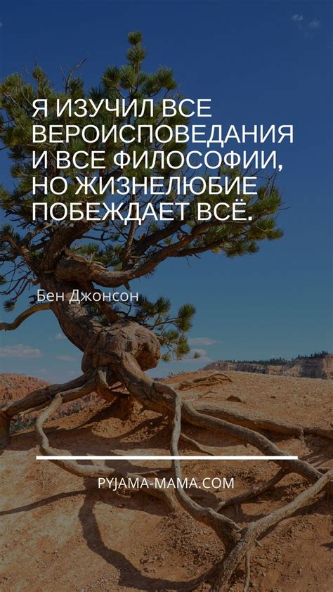 Гармония и счастье, йога и медитация - все для душевного равновесия ...