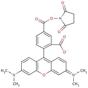 5 Carboxy Tetramethylrhodamine N Succinimidyl Ester CAS 150810 68 7