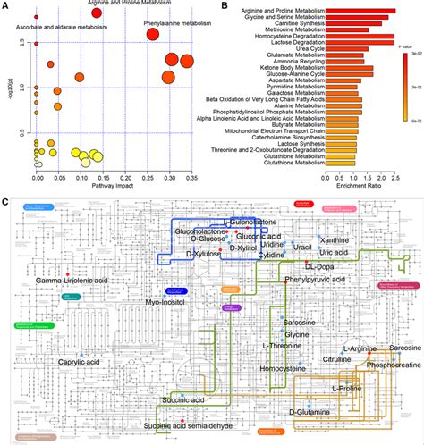 A Pathway Analysis Based On The Kegg Database B Enrichment Download Scientific Diagram