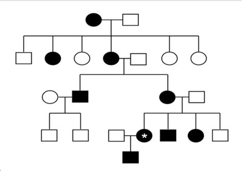 Pedigree Representing The Dominant X Linked Inheritance Pattern Of