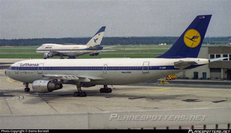 D AIBF Lufthansa Airbus A300B4 2C Photo By Demo Borstell ID 794456