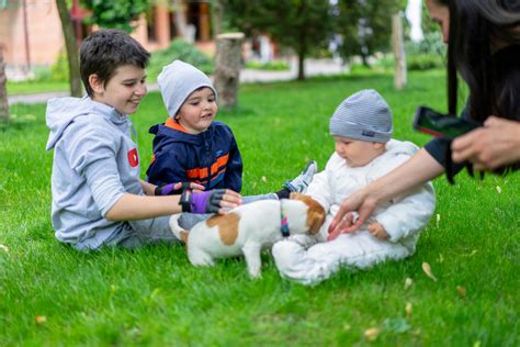 Children Playing with a Dog · Free Stock Photo