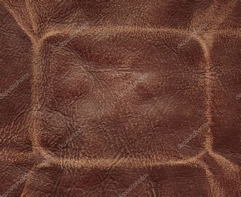 brown leather stock photo tuja