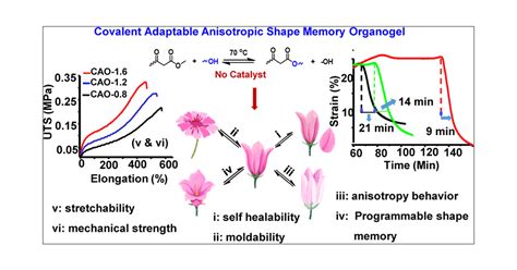 Healable Recyclable And Programmable Shape Memory Organogels Based On