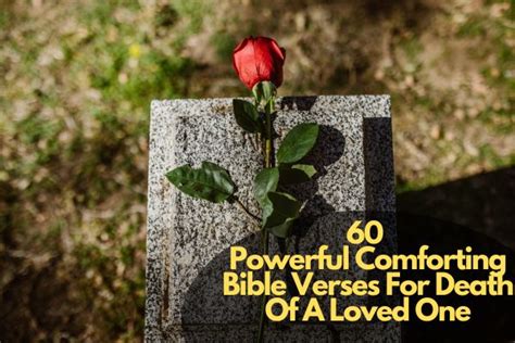 60 Powerful Comforting Bible Verses For Death Of A Loved One