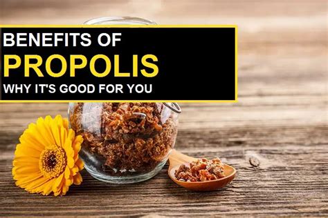 Propolis Health Benefits Why It S Good For You In