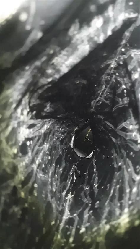 Wanking In Pantyhose And Boots Cumshot In The Boots Gay Amateur Amateur Porn XHamster