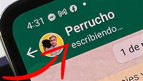 Conoce Los Pasos Para Ocultar El Escribiendo En Tus Chats WhatsApp