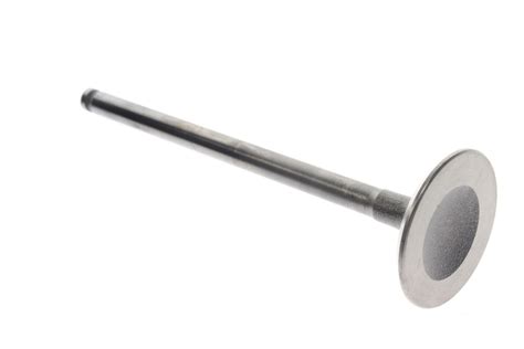 Polaris 3022392 EXHAUST VALVE Partzilla