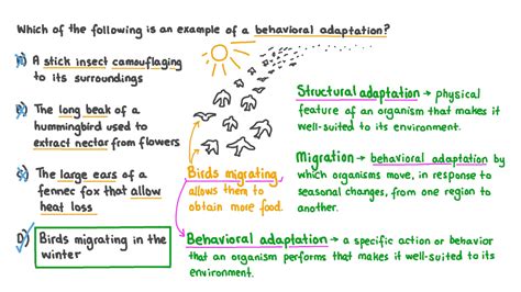 Question Video Discriminating Between Structural And Behavioral