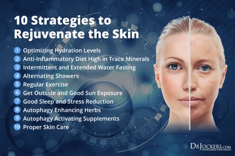 Skin Autophagy Strategies To Rejuvenate Your Skin Drjockers