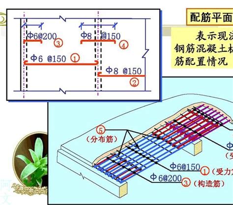 钢筋配筋图word文档在线阅读与下载文档网