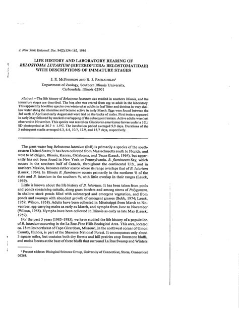 (PDF) Life history and laboratory rearing of Belostoma lutarium ...