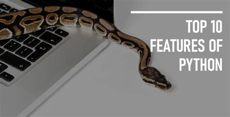 Best Features Of Python Programmier Workshops