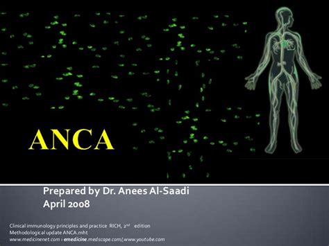 Anca Anti Neutrophil Cytoplasmic Antibodies Ancas