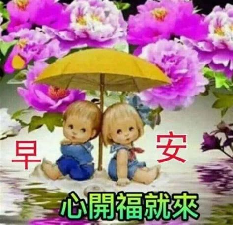 2021朋友圈温馨早上好问候暖心语录，最新版漂亮鲜花早上好动态美图祝福