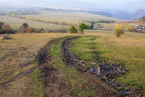 Premium Photo | Dirt road in the forest