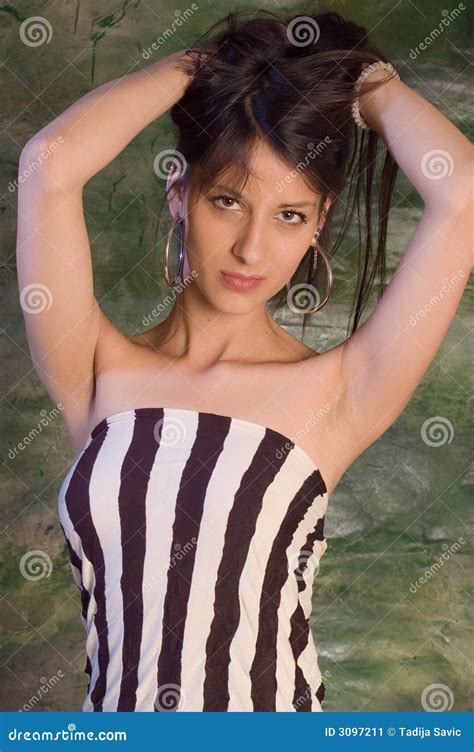 Brunette de verticale image stock Image du mode modèle 3097211