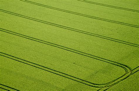 New insights in climate change and its effect on crop yields - All ... 