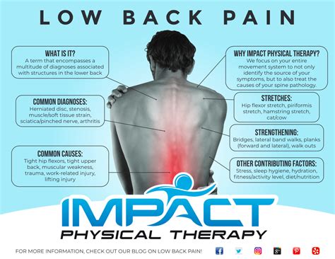 Low Back Pain - Impact Physical Therapy