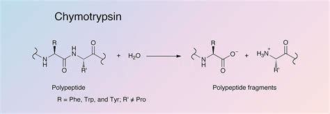 Chymotrypsinogen A Worthington Enzyme Manual Worthington Biochemical