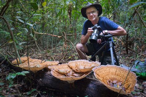 Filmmakers Stephen Axford And Catherine Marciniak — Planet Fungi North