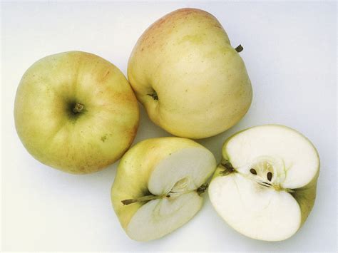 Belchard Chanteclerc Quelle Pomme Pour Quelle Recette Elle à Table