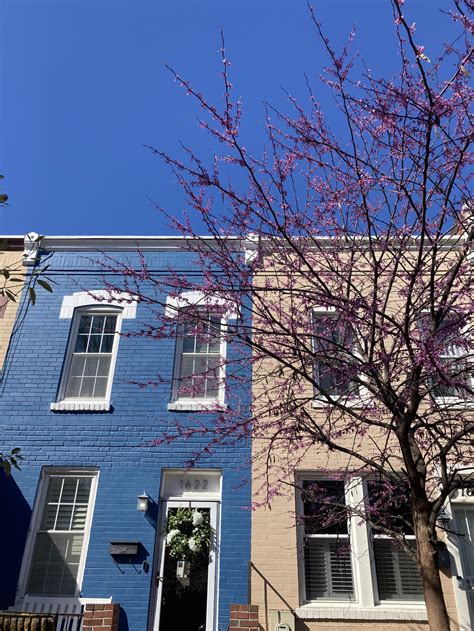 Hill East Civic Association