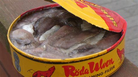 A Swedish Delicacy Called Surströmming - Daily Scandinavian