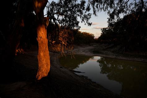 Australians grow angry as mighty Darling River runs dry - The Japan Times