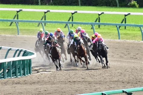 「日本を代表するダート馬に育つ」川田将雅絶賛の大物が3馬身差圧勝！ コントレイル近親の矢作芳人厩舎の秘蔵っ子が、秋の大舞台へ前進 Gj