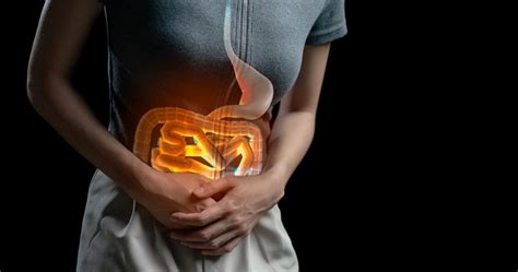 Diverticulitis ¿qué Es Y Cómo Tratarla