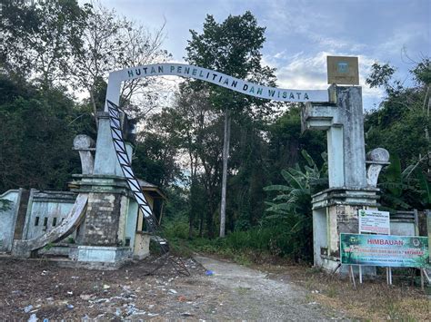 Kawasan Lindung Hutan Simoma Luwu Terabaikan Dan Mulai Digarap Oleh