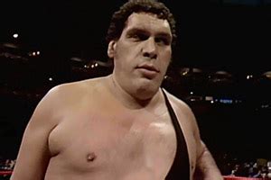 Andre the Giant Death - Wrestler Deaths