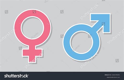 Gender Symbols Male Female Icons Vector Stock Vector Royalty Free